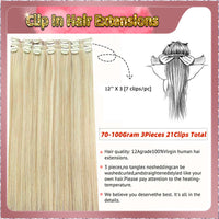 26'' Russian Hair  On Blonde Range  Clip In Hair Extensions 3 Pieces 21 Clips Standard Full Head 33