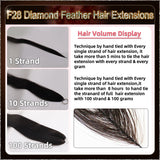 26'' On Darker Range F28 Diamond Feather Hair Extensions  100 Strands Standard Full Head  27